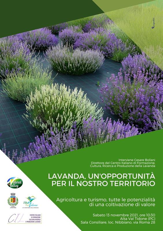 Il Centro Italiano Lavanda in Alta Val Tidone Il Centro Italiano Lavanda in Alta Val Tidone